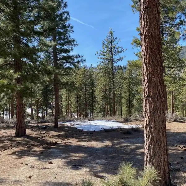 UNBELIEVABLE HOMESITE WITH STUNNING MOUNTAIN VIEWS