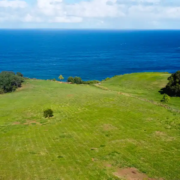 OCEANFRONT ACREAGE OFFERING PANORAMIC COASTAL VIEWS
