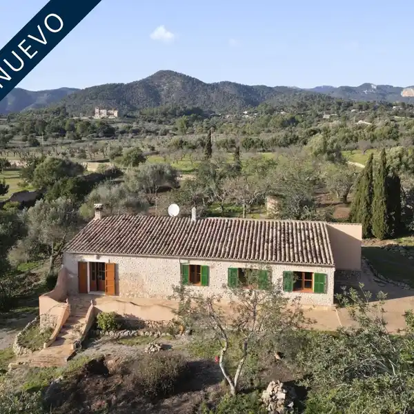 FINCA WITH POTENTIAL BETWEEN ALARó AND SANTA MARIA DEL CAMí