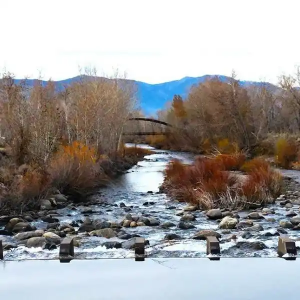 GET YOUR OWN PIECE OF RARE EARTH