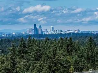 Forest-Backed Retreat with Skyline Views