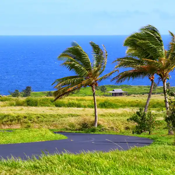 OVER 15 ACRES IN PE'AHI FARMS
