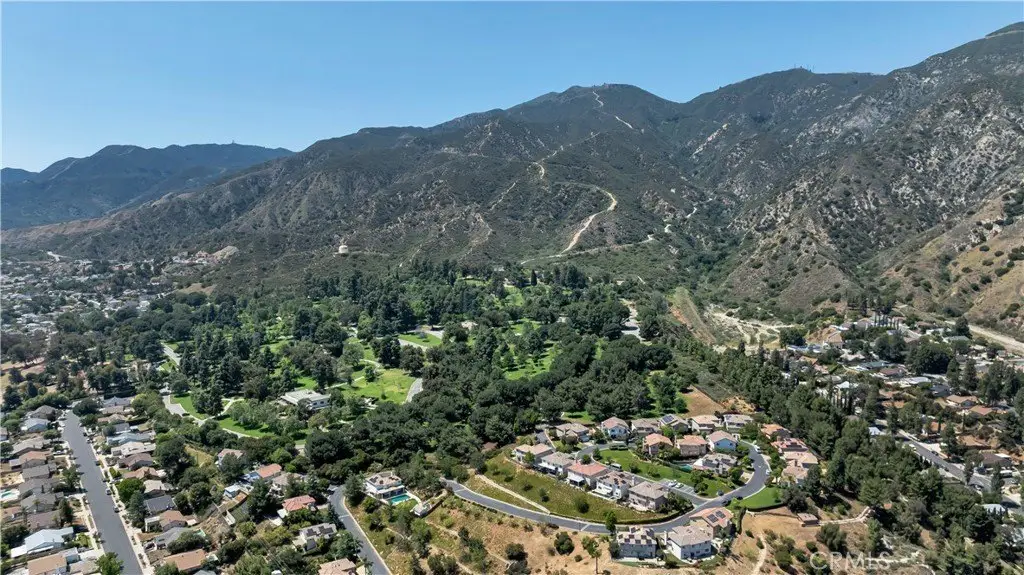 Large Image