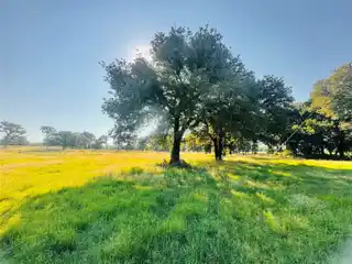15 Acres of Tranquility
