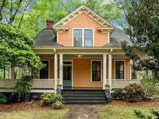 Turn of the Century Southern Beauty