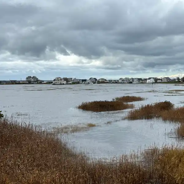 ARCHITECTURALLY ELEGANT SHORELINE HOME