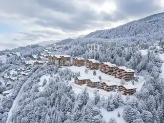 True Art of Mountain Living