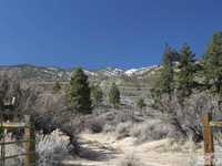 BEAUTIFUL SPRAWLING PROPERTY WITH SEVERAL BUILDING SITES