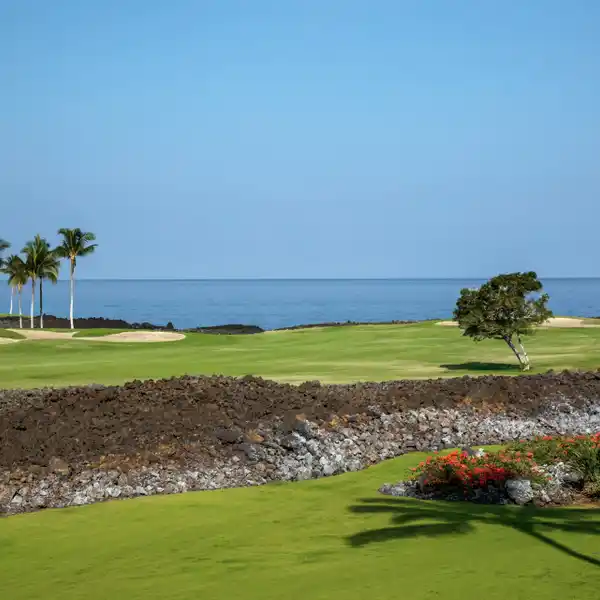 AMAZING HALI’I KAI CONDO