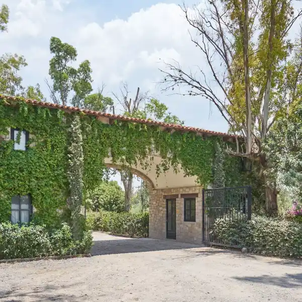 CASA MERLOT