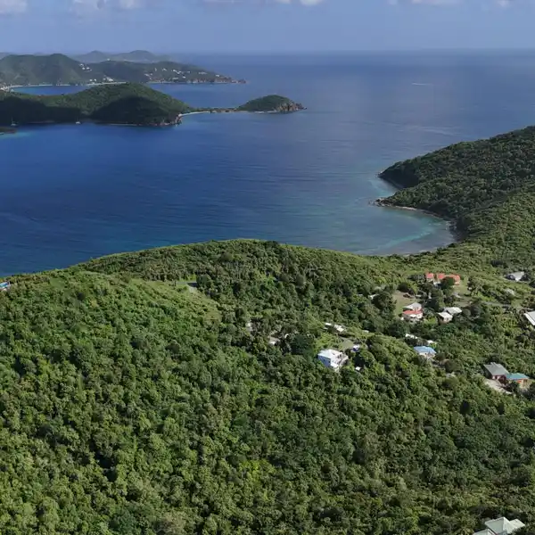 PRISTINE WOODED PROPERTY OVERLOOKING CORAL BAY HARBOR