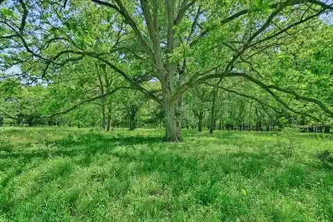 An Untouched Paradise