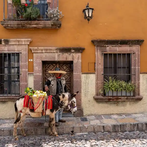 CASA ALDAMA