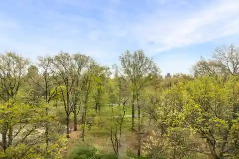 Aristocratic Pre-war Eight-room Home with Park Views