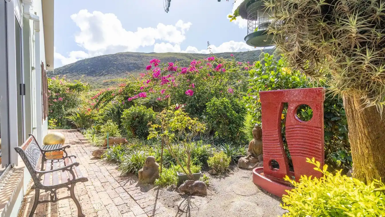 Incredible and Expansive Property