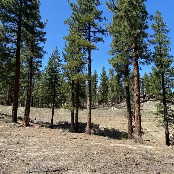 SPACIOUS BUILDING SITE HIGH ABOVE A STREAMBED