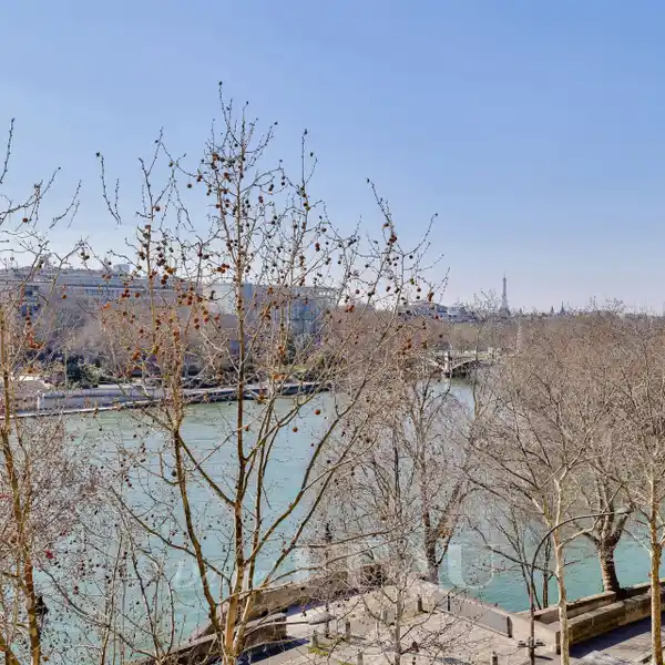 MAGNIFICENT APARTMENT FACING THE SEINE