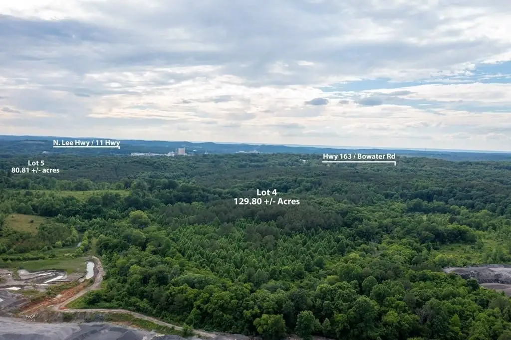 Large Image