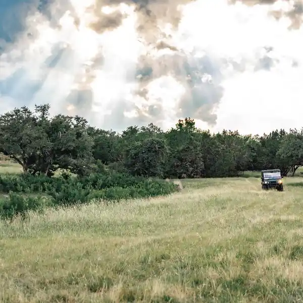 REMARKABLE 5 ACRE PROPERTY