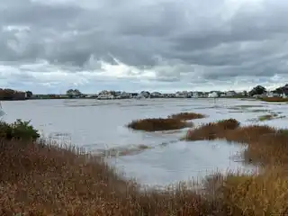 Architecturally Elegant Shoreline Home