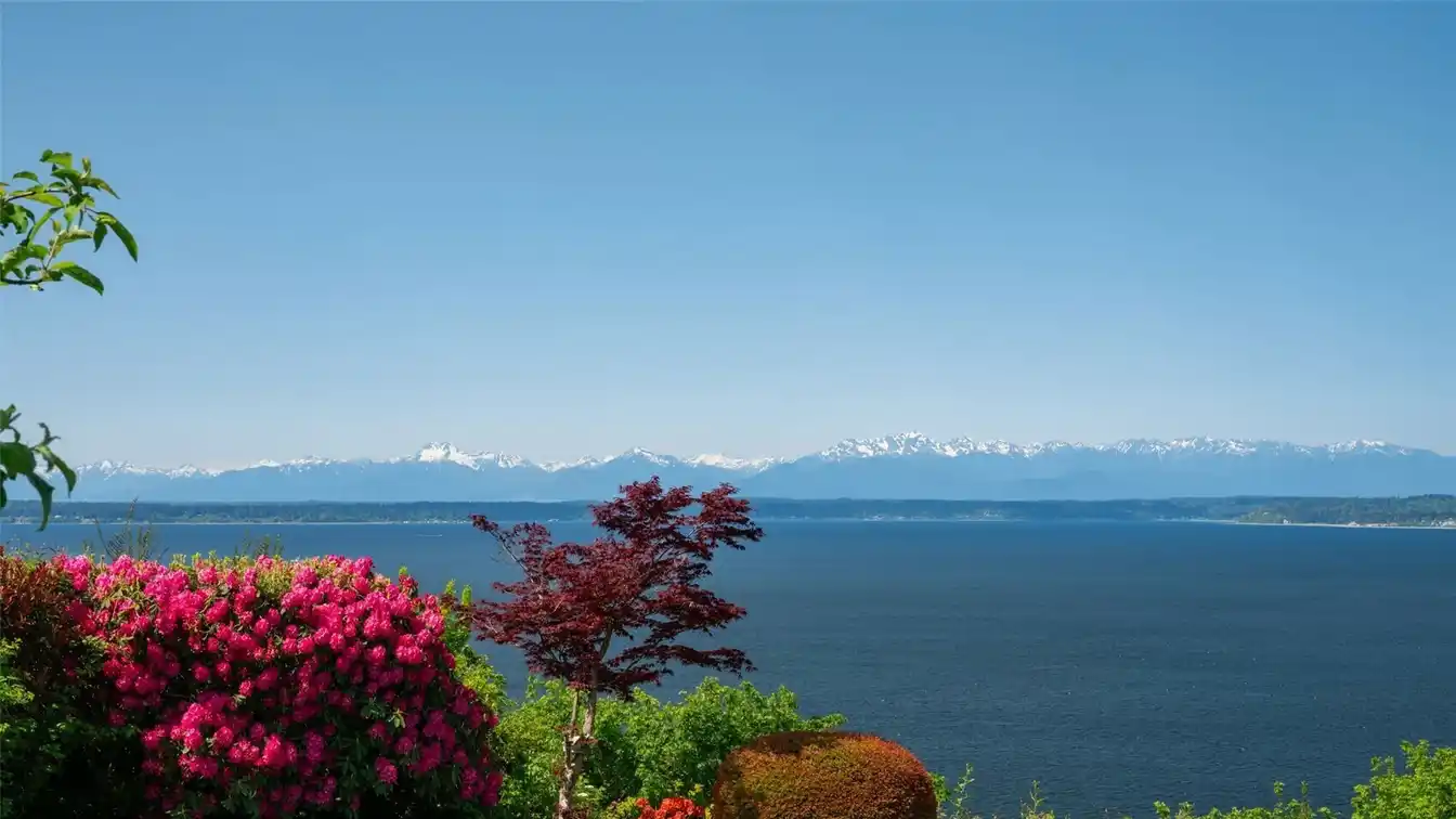 1.5-plus-acre View Home in Broadview