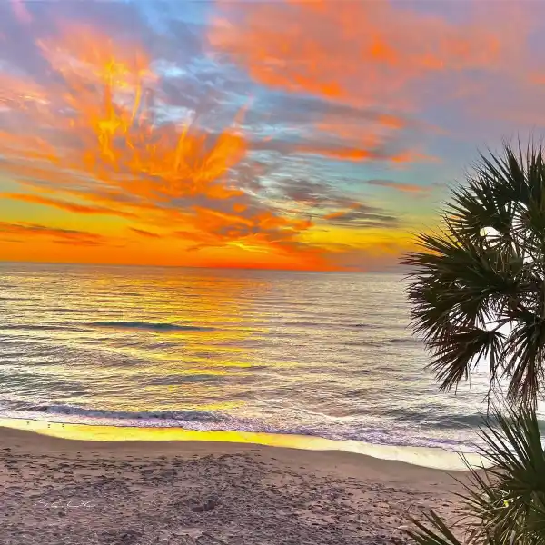 SERENE GULF-TO-BAY PROPERTY