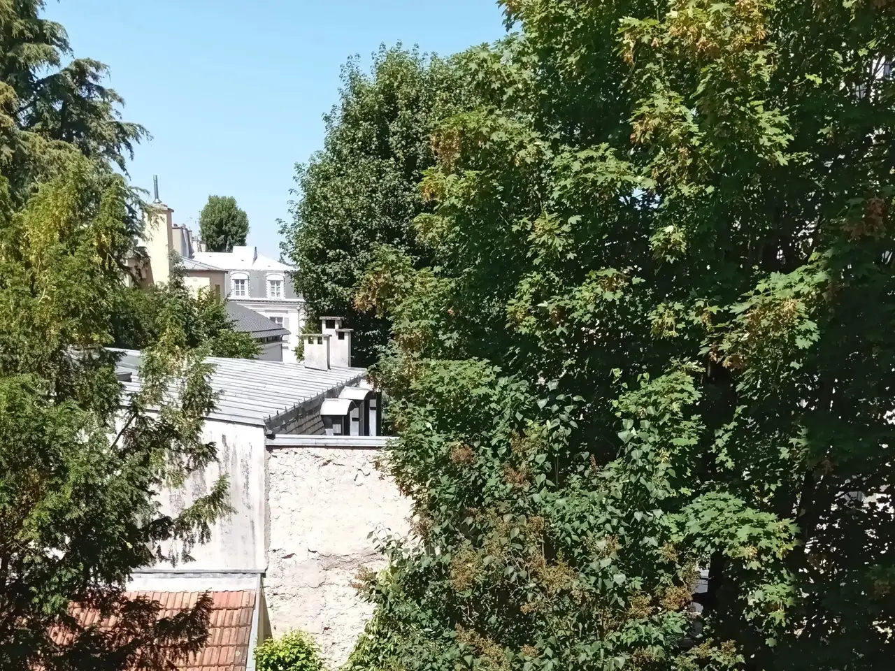 Small Image