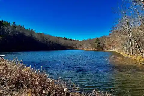 517 Acres for Country Living