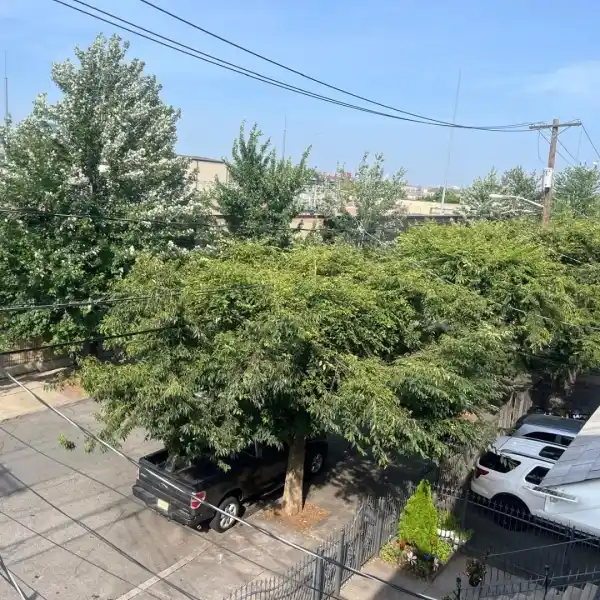 EXQUISITE THREE-FAMILY HOME