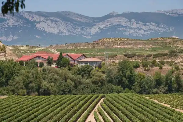 WINERY IN PREMIUM LOCATION