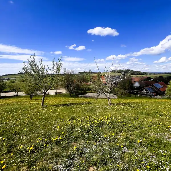 EXPANSIVE EQUESTRIAN PROPERTY