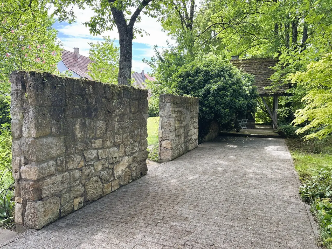 Large Image