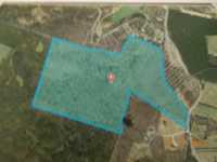 STUNNING 93-ACRE PROPERTY WITH VIEWS OF THE TENNESSEE RIVER