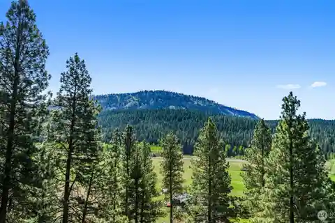 Impeccably Maintained Rambler on 41-Plus Acres