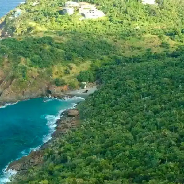 30 WATERFRONT ACRES - POTENTIAL FAMILY COMPOUND