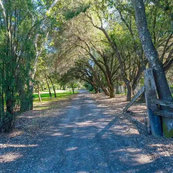 RARE HEALDSBURG OPPORTUNITY
