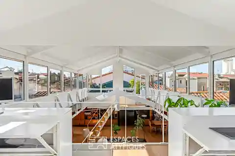 Contemporary Toulouse Loft with Exceptional Skylight Features