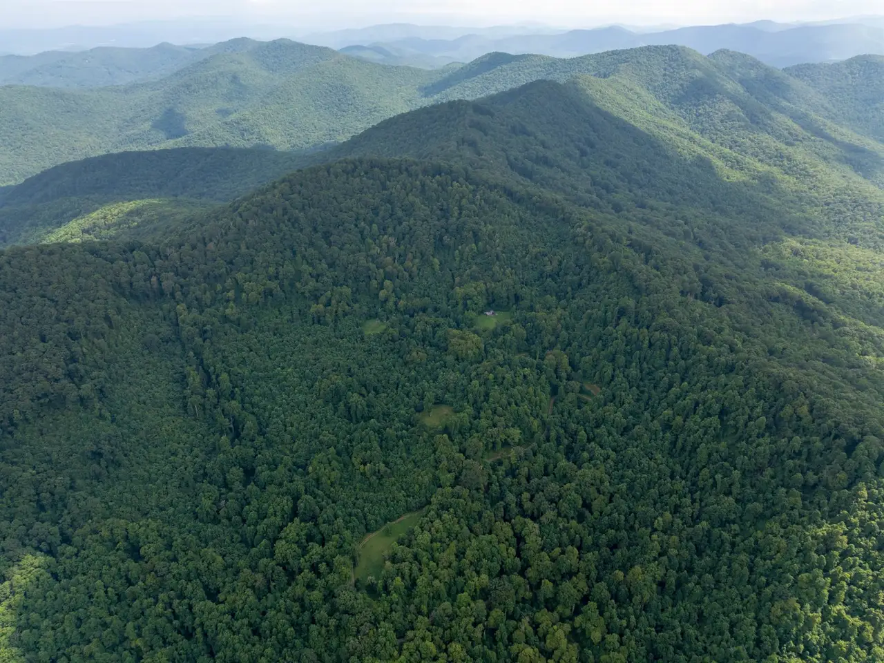 Large Image