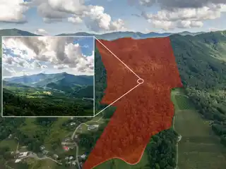 125 Wooded Acres - Create a Secluded Private Estate