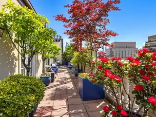 Park Avenue Penthouse Rarity