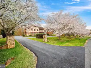 Spacious Tudor Home Backing National Parkland