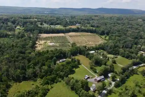 Restored 1740 Farm with Cidery