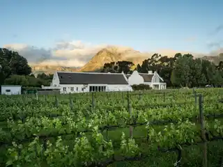 Franschhoek's Hidden Gem - a Unique Wine Farm