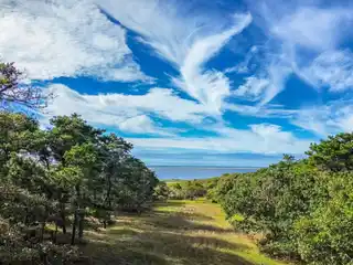 Beautiful Five-Acre Parcel