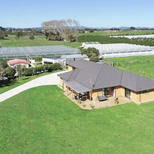 GLASSHOUSE GOLDMINE WITH MODERN FAMILY HOME