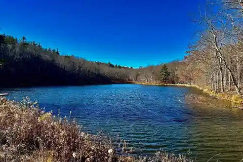 517 Acres for Active Country Living