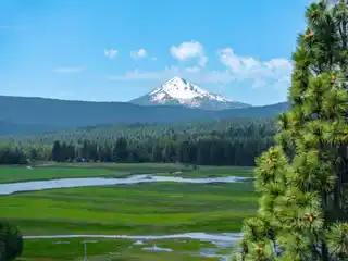 Incredible 82.95-Acre Property