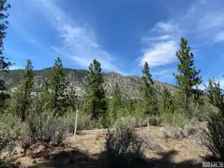 Beautiful Homesite in an Exciting New Community Near Lake Tahoe