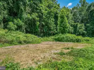 Build Your Dream Home on Rare Acreage