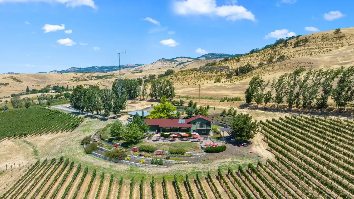 Dana Campbell Vineyards
